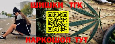 СК Лесосибирск