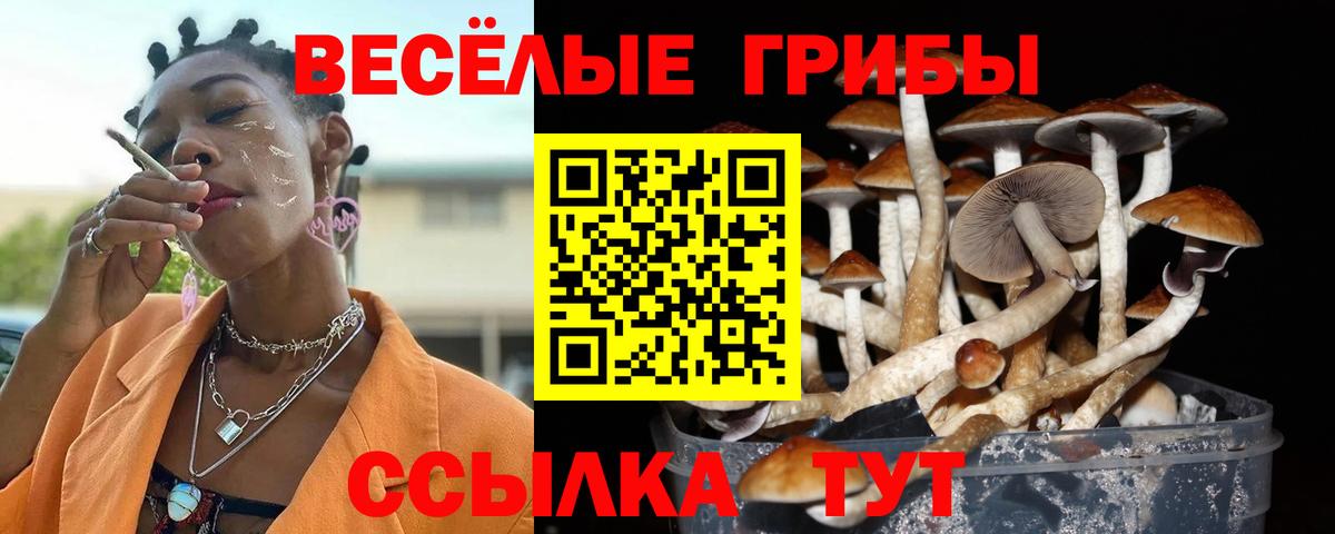 Псилоцибиновые грибы Cubensis  закладка  Галлюциногенные грибы ЛСД  Иваново  Вход с VPN 